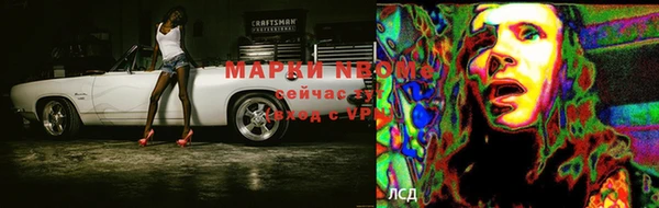 ПСИЛОЦИБИНОВЫЕ ГРИБЫ Балахна